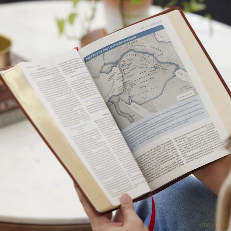 The Open Bible: Read and Discover the Bible for Yourself (NKJV, Hardcover, Red Letter, Comfort Print): The Open Bible: Nkjv, Read and Discover the Bible for Yourself, Red Letter, Comfort Print - Thomas Nelson [KSIĄŻKA]
