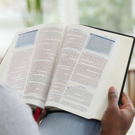 The Open Bible: Read and Discover the Bible for Yourself (NKJV, Hardcover, Red Letter, Comfort Print): The Open Bible: Nkjv, Read and Discover the Bible for Yourself, Red Letter, Comfort Print - Thomas Nelson [KSIĄŻKA]