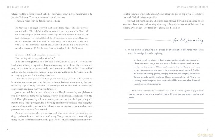 The Trust Journey: Heal from Broken Trust with Others, Yourself, and God (A Guided Journal to Use Alongside I Want to Trust You, but I Don't) - Lysa TerKeurst [KSIĄŻKA]