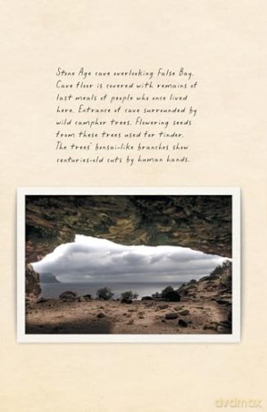 Amphibious Soul: Finding the wild in a tame world - Craig Foster [KSIĄŻKA]