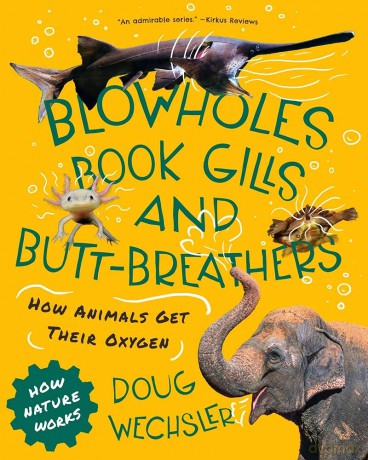 Blowholes, Book Gills, and Butt-Breathers: How Animals Get Their Oxygen: 0 (How Nature Works) - Doug Wechsler [KSIĄŻKA]
