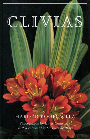 Clivias - Harold Koopowitz [KSIĄŻKA]