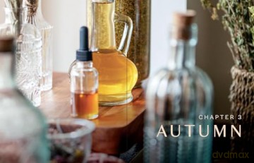Herbs in Every Season: 48 Edible and Medicinal Herbs for the Kitchen, Garden, and Apothecary - Bevin Cohen [KSIĄŻKA]