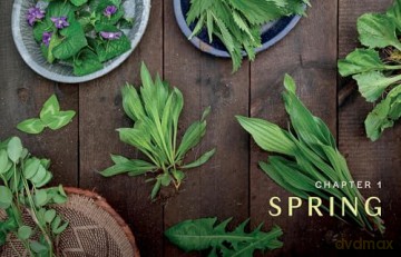 Herbs in Every Season: 48 Edible and Medicinal Herbs for the Kitchen, Garden, and Apothecary - Bevin Cohen [KSIĄŻKA]