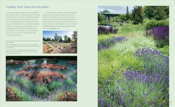 Lavender for All Seasons: A Gardener's Guide to Growing and Creating with Lavender Year-Round - Paola Legarre [KSIĄŻKA]