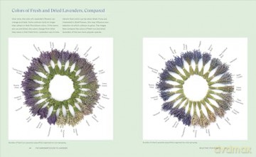 Lavender for All Seasons: A Gardener's Guide to Growing and Creating with Lavender Year-Round - Paola Legarre [KSIĄŻKA]