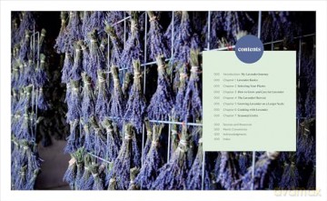 Lavender for All Seasons: A Gardener's Guide to Growing and Creating with Lavender Year-Round - Paola Legarre [KSIĄŻKA]