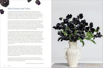 Pansies: How to Grow, Reimagine, and Create Beauty with Pansies and Violas - Brenna Estrada [KSIĄŻKA]