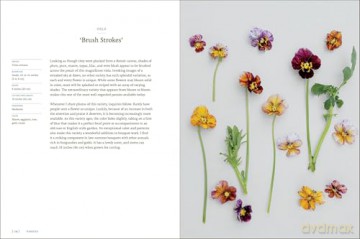 Pansies: How to Grow, Reimagine, and Create Beauty with Pansies and Violas - Brenna Estrada [KSIĄŻKA]