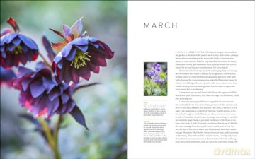 Year at Brandywine Cottage, A: Six Seasons of Beauty, Bounty, and Blooms - L., David Culp [KSIĄŻKA]