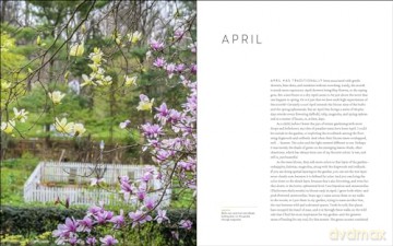 Year at Brandywine Cottage, A: Six Seasons of Beauty, Bounty, and Blooms - L., David Culp [KSIĄŻKA]