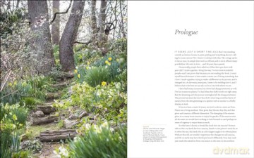 Year at Brandywine Cottage, A: Six Seasons of Beauty, Bounty, and Blooms - L., David Culp [KSIĄŻKA]