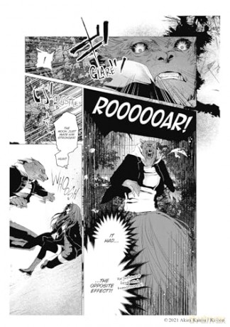 Outsiders Vol.1 - Akira Kanou [KSIĄŻKA]