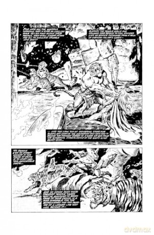 The Savage Sword Of Conan: The Original Comics Omnibus Vol.5 - John Buscema [KSIĄŻKA]