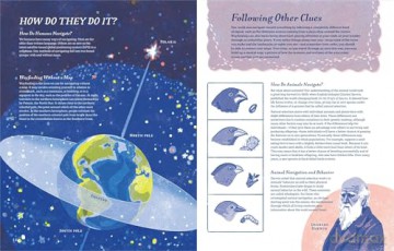 Supernavigators: How Animals Find Their Way (Illustrated Young Readers Edition) - David Barrie [KSIĄŻKA]