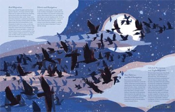 Supernavigators: How Animals Find Their Way (Illustrated Young Readers Edition) - David Barrie [KSIĄŻKA]