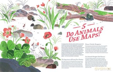Supernavigators: How Animals Find Their Way (Illustrated Young Readers Edition) - David Barrie [KSIĄŻKA]