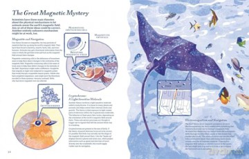 Supernavigators: How Animals Find Their Way (Illustrated Young Readers Edition) - David Barrie [KSIĄŻKA]