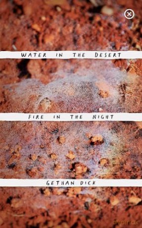 Water in the Desert Fire in the Night - Gethan Dick [KSIĄŻKA]