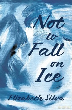 Not to Fall on Ice - Elizabeth Silva [KSIĄŻKA]
