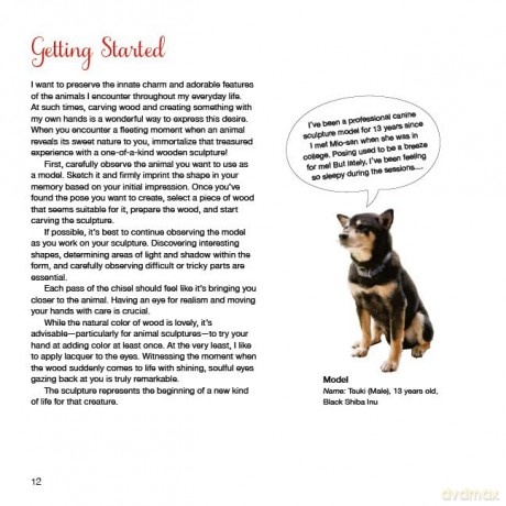 A Beginner's Guide to Animal Woodcarving: Learn to Sculpt Lifelike Figures from a Japanese Master (Detailed Instructions for 5 Projects!) - Mio Hashimoto [KSIĄŻKA]