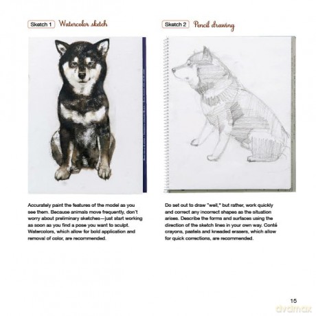 A Beginner's Guide to Animal Woodcarving: Learn to Sculpt Lifelike Figures from a Japanese Master (Detailed Instructions for 5 Projects!) - Mio Hashimoto [KSIĄŻKA]