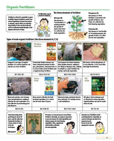 The Manga Guide to Organic Vegetable Gardening: Detailed Tips for Growing 50 Types of Vegetables, Fruits and Herbs (with Over 2000 Drawings and Photos) - Hideki Yoda [KSIĄŻKA]