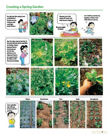 The Manga Guide to Organic Vegetable Gardening: Detailed Tips for Growing 50 Types of Vegetables, Fruits and Herbs (with Over 2000 Drawings and Photos) - Hideki Yoda [KSIĄŻKA]