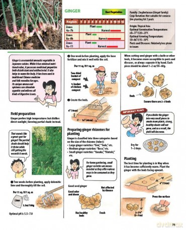 The Manga Guide to Organic Vegetable Gardening: Detailed Tips for Growing 50 Types of Vegetables, Fruits and Herbs (with Over 2000 Drawings and Photos) - Hideki Yoda [KSIĄŻKA]