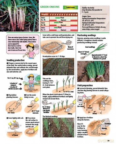 The Manga Guide to Organic Vegetable Gardening: Detailed Tips for Growing 50 Types of Vegetables, Fruits and Herbs (with Over 2000 Drawings and Photos) - Hideki Yoda [KSIĄŻKA]