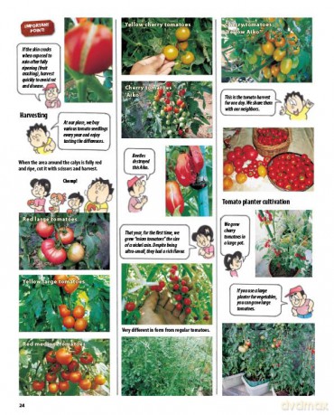 The Manga Guide to Organic Vegetable Gardening: Detailed Tips for Growing 50 Types of Vegetables, Fruits and Herbs (with Over 2000 Drawings and Photos) - Hideki Yoda [KSIĄŻKA]