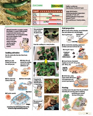 The Manga Guide to Organic Vegetable Gardening: Detailed Tips for Growing 50 Types of Vegetables, Fruits and Herbs (with Over 2000 Drawings and Photos) - Hideki Yoda [KSIĄŻKA]