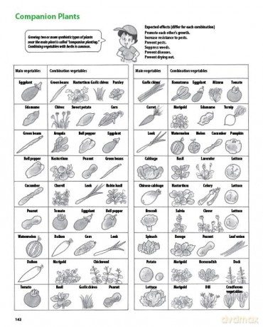 The Manga Guide to Organic Vegetable Gardening: Detailed Tips for Growing 50 Types of Vegetables, Fruits and Herbs (with Over 2000 Drawings and Photos) - Hideki Yoda [KSIĄŻKA]