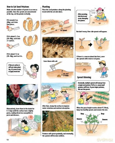 The Manga Guide to Organic Vegetable Gardening: Detailed Tips for Growing 50 Types of Vegetables, Fruits and Herbs (with Over 2000 Drawings and Photos) - Hideki Yoda [KSIĄŻKA]