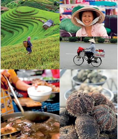 Vietnamese Food and Food Culture: A Life-changing Journey through the Street Foods, Regional Cooking Styles and Local Ingredients of Vietnam - Paul B. Kennedy [KSIĄŻKA]