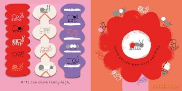 A Little World of Ants: A Lift-the-Flap Adventure - Cara Rooney [KSIĄŻKA]