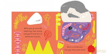 A Little World of Ants: A Lift-the-Flap Adventure - Cara Rooney [KSIĄŻKA]