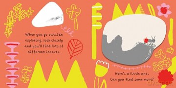 A Little World of Ants: A Lift-the-Flap Adventure - Cara Rooney [KSIĄŻKA]