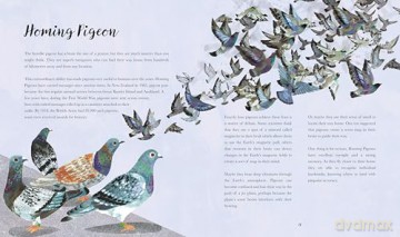 Bright Birds: An exquisite illustrated gift book for bird lovers of all ages - Kate Read [KSIĄŻKA]