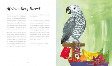 Bright Birds: An exquisite illustrated gift book for bird lovers of all ages - Kate Read [KSIĄŻKA]