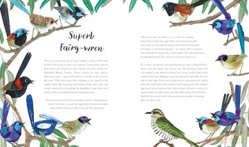 Bright Birds: An exquisite illustrated gift book for bird lovers of all ages - Kate Read [KSIĄŻKA]