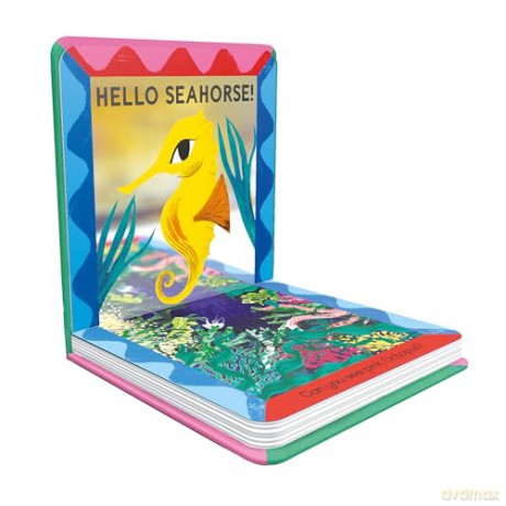 Hello Fish!: An underwater search-and-find mirror book (Mirror Magic) - Sharon King-Chai [KSIĄŻKA]
