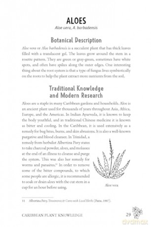 Carribbean Herbalism: Traditional Wisdom and Modern Herbal Healing - Aleya Fraser [KSIĄŻKA]