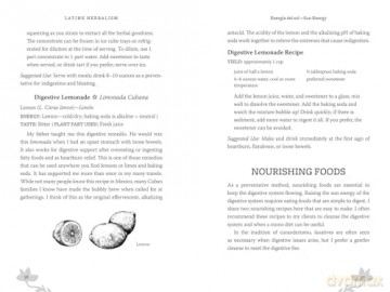 Latine Herbalism: A Beginner's Guide to Modern Curanderismo, Healing Plants, and Folk Traditions of the Americas - Iosallev Castaneda [KSIĄŻKA]
