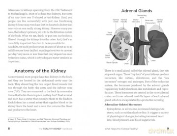 The Healthy Kidney Handbook: A Comprehensive Guide to Manage Hypertension, Control Stress, and Prevent Renal Failure, Kidney Disease, and More - C. Nicole Swiner [KSIĄŻKA]