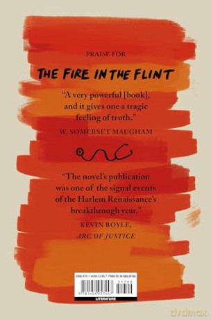The Fire in the Flint (Herald Classics) - Walter F. White [KSIĄŻKA]