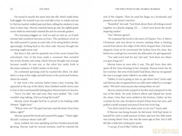 The First Wish of Mr. Murray McBride: A Novel - Joe Siple [KSIĄŻKA]