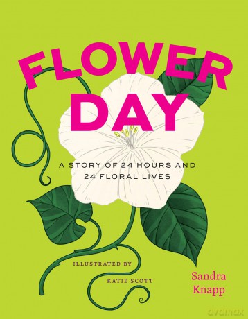 Flower Day: A Story of 24 Hours and 24 Floral Lives (Earth Day) - Sandra Knapp [KSIĄŻKA]