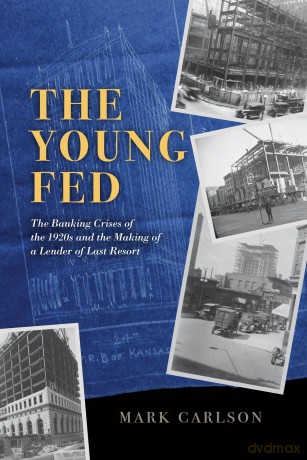 The Young Fed: The Banking Crises of the 1920s and the Making of a Lender of Last Resort (Markets and Governments in Economic History) - Mark Carlson [KSIĄŻKA]