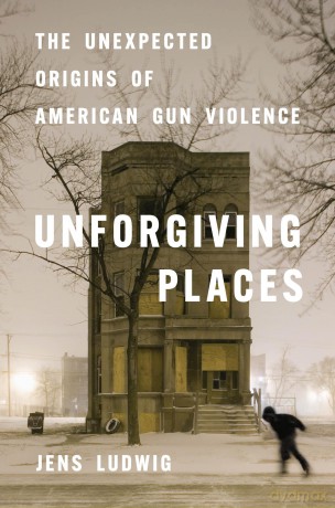 Unforgiving Places: The Unexpected Origins of American Gun Violence - Jens Ludwig [KSIĄŻKA]